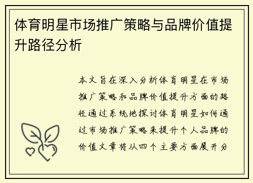 体育明星市场推广策略与品牌价值提升路径分析