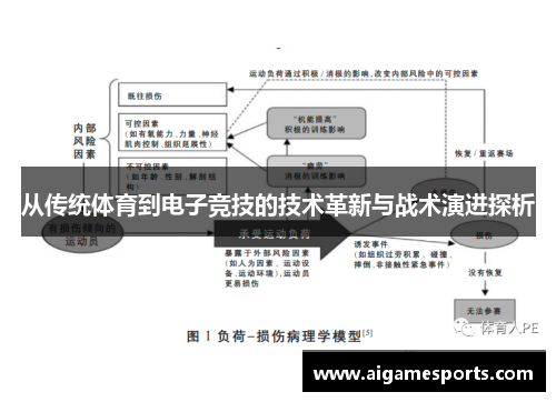 从传统体育到电子竞技的技术革新与战术演进探析